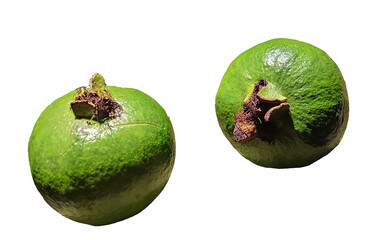 a pair of guava isolated on a transparent background