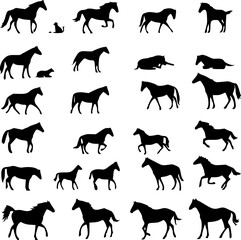 Horse Sillihutte different different pose 