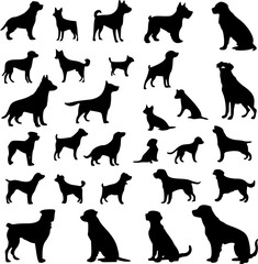 God Sillihutte different different pose 