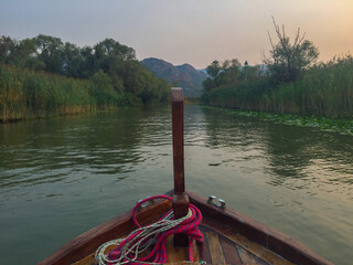 Tranquil River Journey through Reeds and Nature
