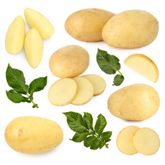 Potatoes and green plant leaves isolated on white, set