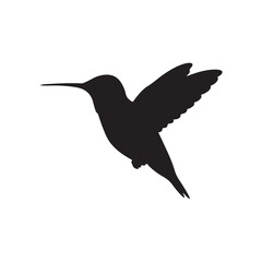 Ruby throated hummingbird silhouette vector flat illustration design