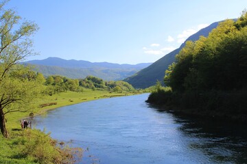 Obraz premium river in the morning