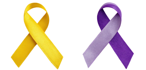 Two awareness ribbons, one yellow, one purple (1)