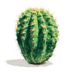 cactus isolated on white background