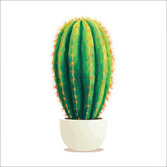 cactus isolated on white background