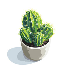 cactus isolated on white background