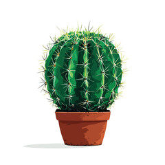 cactus isolated on white background
