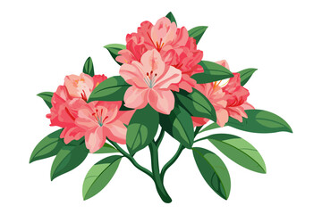 Beautiful pink rhododendron flowers illustration for garden floral design and nature lovers art