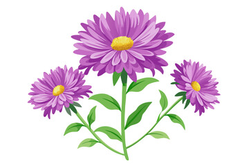 Watercolor purple aster flower illustration floral design element botanical drawing spring bloom art