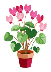 Beautiful cyclamen plant illustration in pot with pink flowers and green leaves design vector art