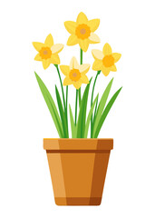 Illustration of potted yellow daffodils spring flowers floral arrangement home decor design element