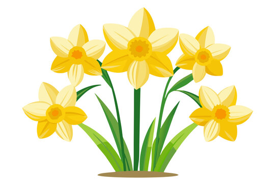 Beautiful yellow daffodil flowers illustration perfect for spring easter and floral designs