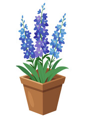 Delphinium flower plant in pot vector illustration for garden and home decor design asset element