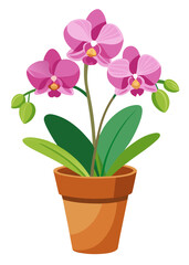 Beautiful pink orchid flower in pot vector illustration floral design botanical plant drawing art