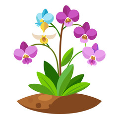 Beautiful orchid flower plant illustration vector for botanical garden floral design element