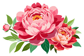 Beautiful pink peony flower arrangement vector illustration floral design element clip art for graphics and decoration