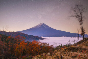Fototapeta premium Fuji Mountain in Autumn
