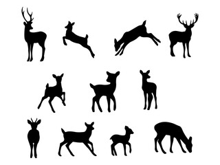 Collection of diverse deer silhouettes in various poses isolated on white background silhouette