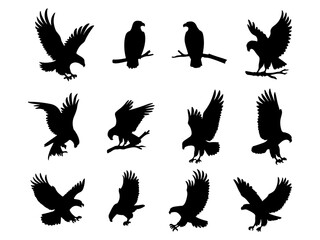 Collection of majestic eagle silhouettes in various flying and perched poses isolated on white background