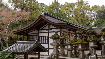 kasugataisha in japan