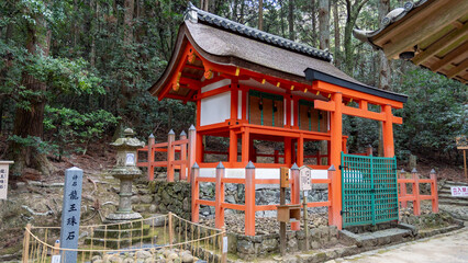 Fototapeta premium kasugataisha in japan
