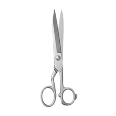 Pair of Professional Stainless Steel Scissors.