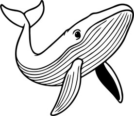 whale vector illustration, isolated on white