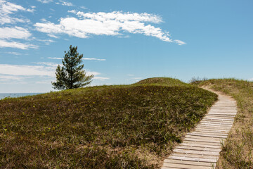 The protective boardwalk winds through and over the sand dunes leading to Lake Michigan at...