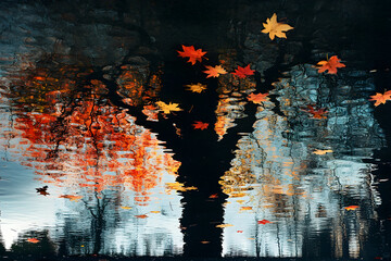 Fototapeta premium Reflection of an autumn tree in dark water.