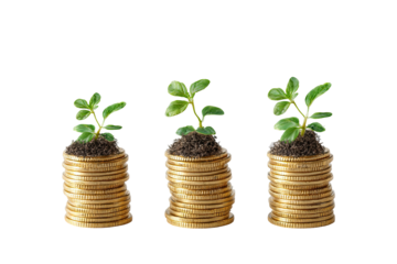Three stacks of gold coins, each supporting a small green plant growing from soil
