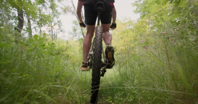 A man riding a bike through a lush green forest. Mountain biker in nature. Back view. Recorded at 120 fps on cinema camera.