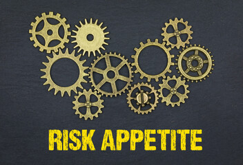 Risk appetite	
