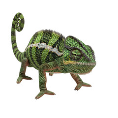 Detailed View of a Green Chameleon.