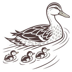 mother duck with ducklings swimming