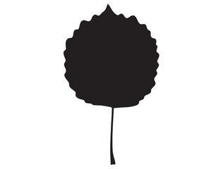 ASPEN LEAF SILHOUETTE
