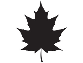 AUTUMN LEAF SILHOUETTE