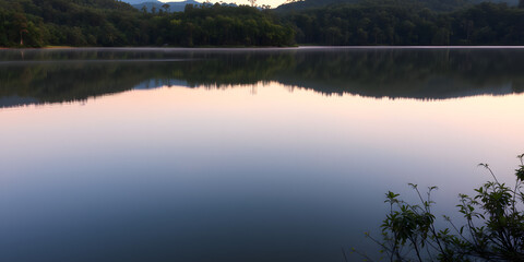 Calm lake reflecting trees under a pastel sky with plants in the foreground at the water edge