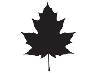 AUTUMN LEAF SILHOUETTE