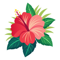 red flower isolated on white background