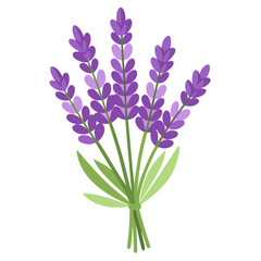 Obraz premium bouquet of blue irises