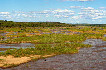 Olifants river, Parc national Kruger, Afrique du Sud
