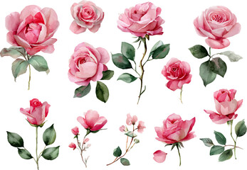 seamless pattern with pink roses