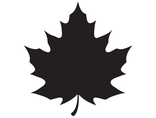 AUTUMN LEAF SILHOUETTE