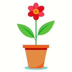 flower in flowerpot