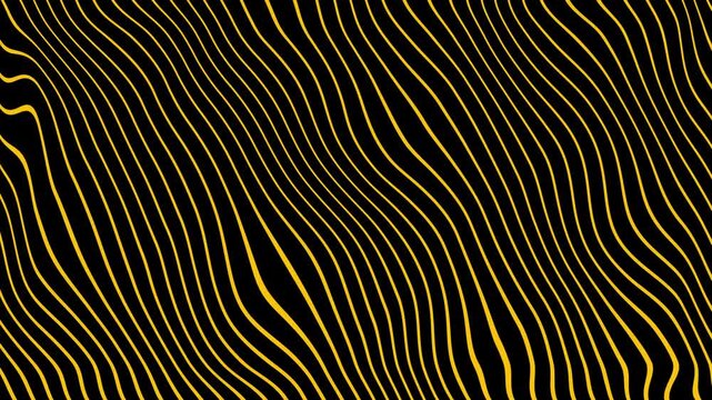 Wavy lines animated background. Luxury minimalism waves. Motion graphic. Yellow lines. 