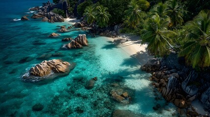 Serene Tropical Beach with Clear Turquoise Water and Tropical Palm Trees at Sunny Day