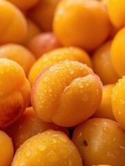 Fresh yellow apricots with water droplets on surface close-up detail ripe fruit healthy natural produce bright color