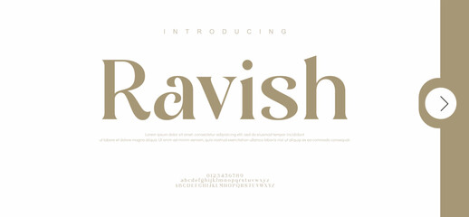 Ravish Elegant Font Uppercase Lowercase and Number. Classic Lettering Minimal Fashion Designs. Typography modern Serif fonts regular decorative vintage concept.
