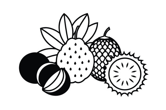 Flat Collection Of Exotic Fruits Lychee Dragonfruit And More